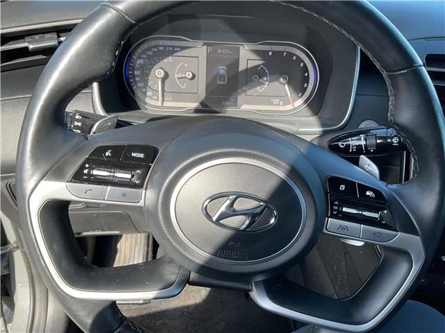2024 Hyundai Santa Cruz  (Stk: 260327) in Kingston - Image 16 of 34