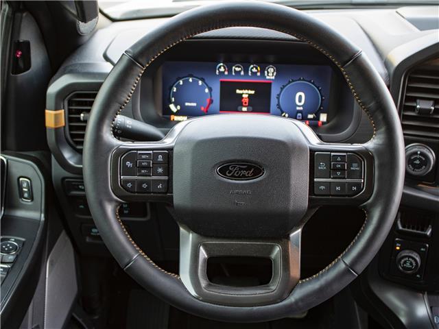 2024 Ford F-150 Tremor (Stk: TR3800) in Windsor - Image 14 of 29