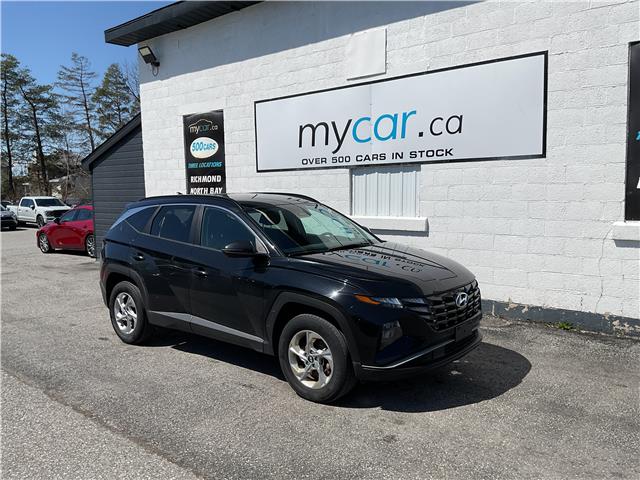 2023 Hyundai Tucson  (Stk: 251661) in Ottawa Central - Image 1 of 19