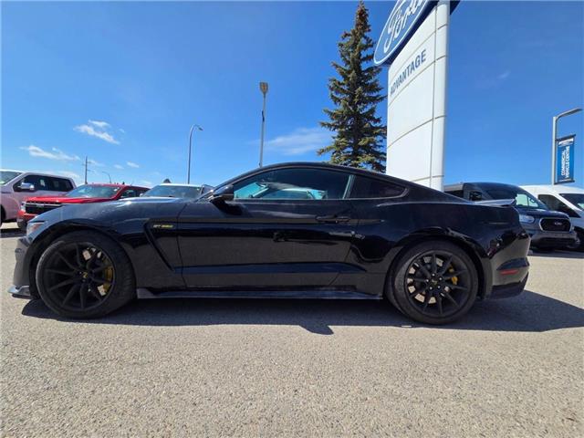 2017 Ford Shelby GT350 Base (Stk: 7138) in Calgary - Image 3 of 12