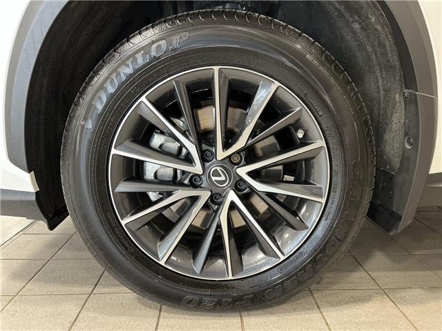 2023 Lexus NX 250  (Stk: 14112422A) in Markham - Image 10 of 24