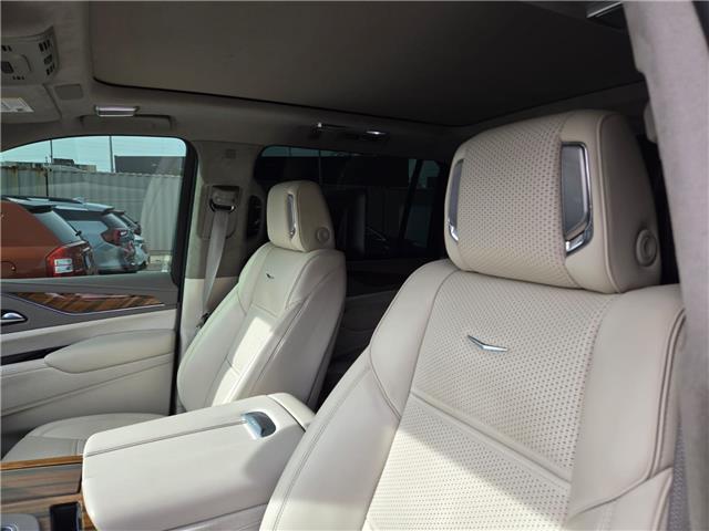 2024 Cadillac Escalade ESV Sport Platinum (Stk: 166192) in London - Image 9 of 13