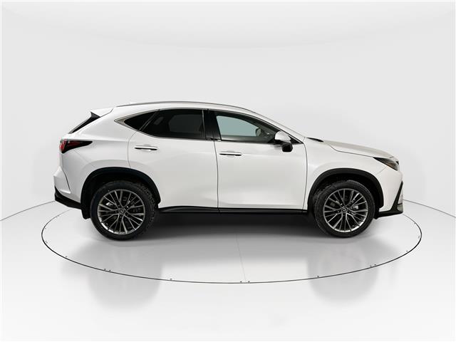2026 Lexus NX 350  (Stk: 14112570) in Markham - Image 8 of 21