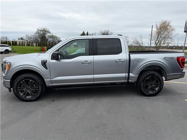 2022 Ford F-150 XLT (Stk: P2299) in BELLEVILLE - Image 2 of 27 2022 Ford F-150 XLT (Stk: P2299) in BELLEVILLE - Image 2 of 27