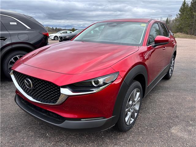 2026 Mazda CX-30 GS (Stk: 226-18) in Pembroke - Image 1 of 6