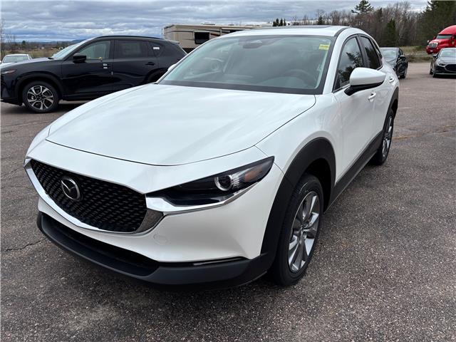2025 Mazda CX-30 GS (Stk: 225-146) in Pembroke - Image 1 of 4