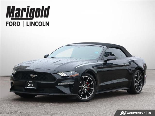 2019 Ford Mustang EcoBoost (Stk: 6-26ER0107B) in Whitby - Image 1 of 32