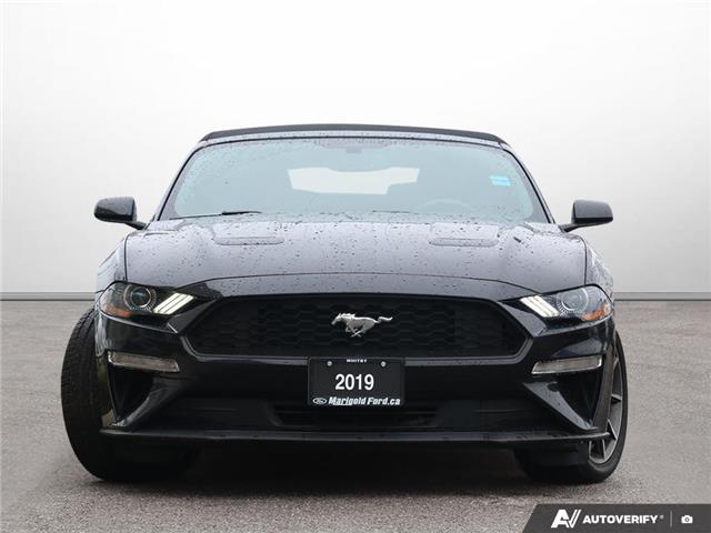 2019 Ford Mustang EcoBoost (Stk: 6-26ER0107B) in Whitby - Image 2 of 32