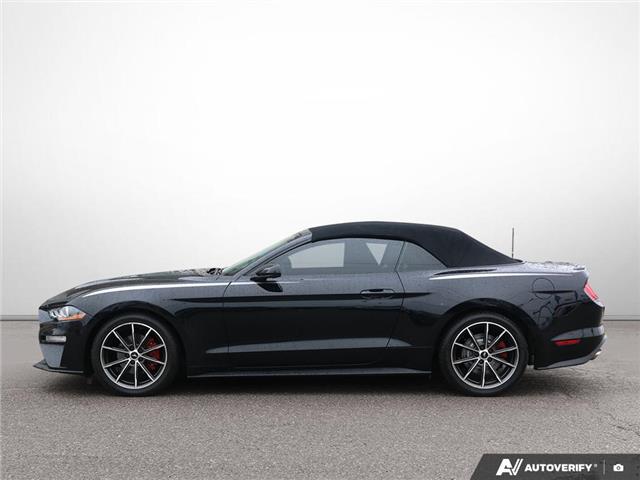 2019 Ford Mustang EcoBoost (Stk: 6-26ER0107B) in Whitby - Image 3 of 32