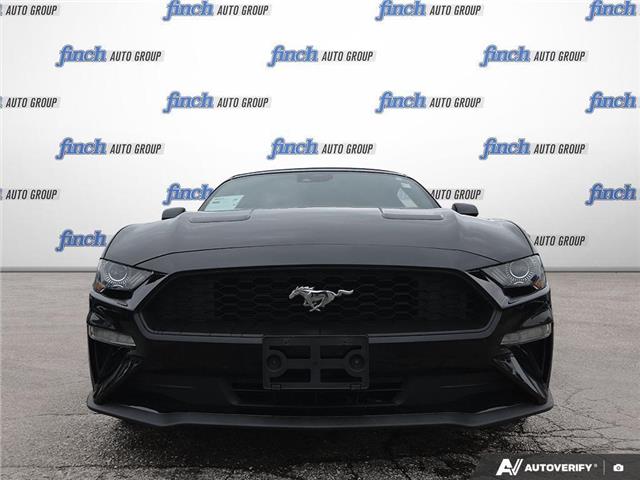 2023 Ford Mustang EcoBoost (Stk: 984) in Kitchener - Image 2 of 24