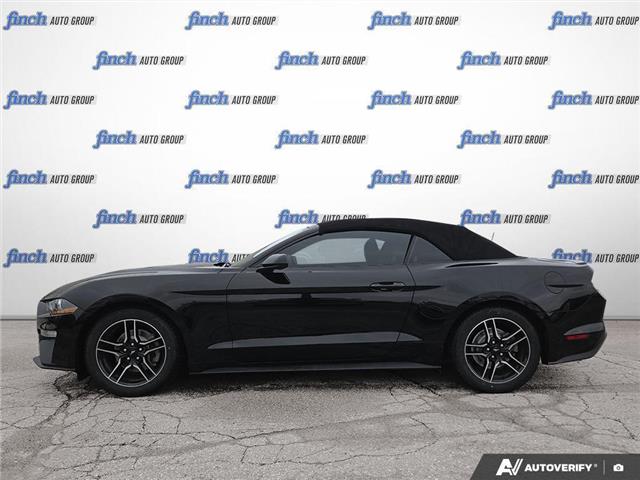 2023 Ford Mustang EcoBoost (Stk: 984) in Kitchener - Image 3 of 24