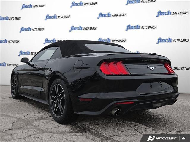 2023 Ford Mustang EcoBoost (Stk: 984) in Kitchener - Image 4 of 24