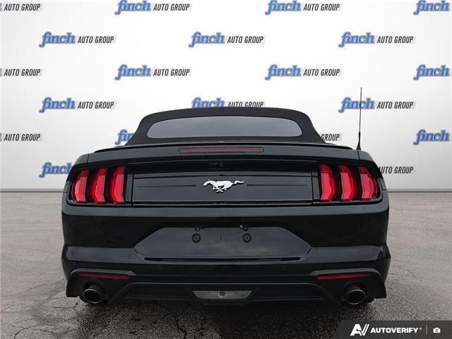 2023 Ford Mustang EcoBoost (Stk: 984) in Kitchener - Image 5 of 24