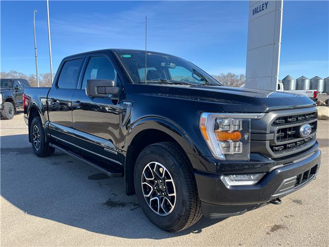 2023 Ford F-150 XLT (Stk: U75740) in Hague - Image 2 of 14