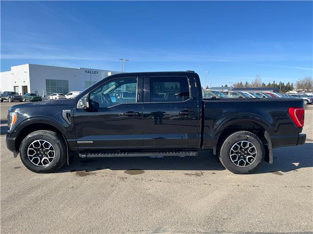 2019 Ford F-150 Lariat (Stk: U06059) in Hague - Image 5 of 13