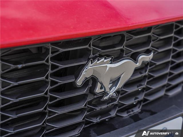 2025 Ford Mustang EcoBoost (Stk: 43198) in Georgetown - Image 12 of 29 2025 Ford Mustang EcoBoost (Stk: 43198) in Georgetown - Image 12 of 29