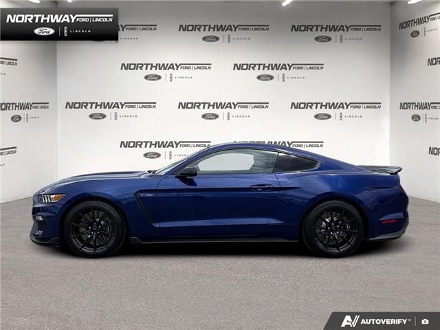 2016 Ford Shelby GT350 Base (Stk: P11744B) in Brantford - Image 3 of 23 2016 Ford Shelby GT350 Base (Stk: P11744B) in Brantford - Image 3 of 23