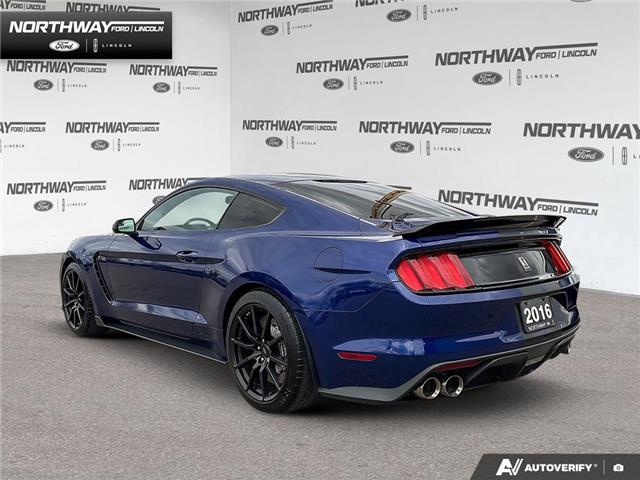 2016 Ford Shelby GT350 Base (Stk: P11744B) in Brantford - Image 4 of 23 2016 Ford Shelby GT350 Base (Stk: P11744B) in Brantford - Image 4 of 23