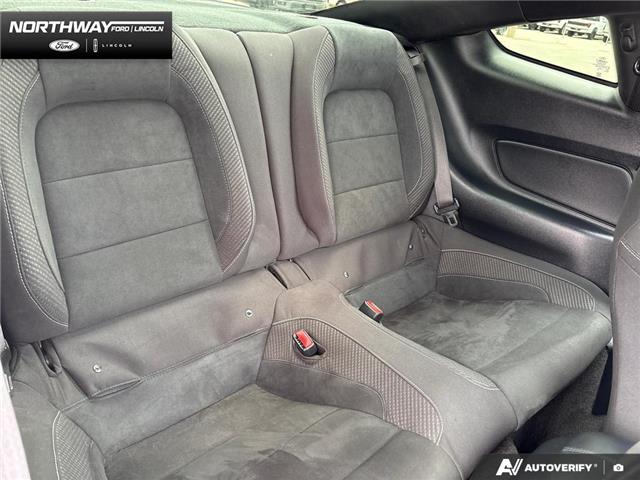 2016 Ford Shelby GT350 Base (Stk: P11744B) in Brantford - Image 22 of 23 2016 Ford Shelby GT350 Base (Stk: P11744B) in Brantford - Image 22 of 23