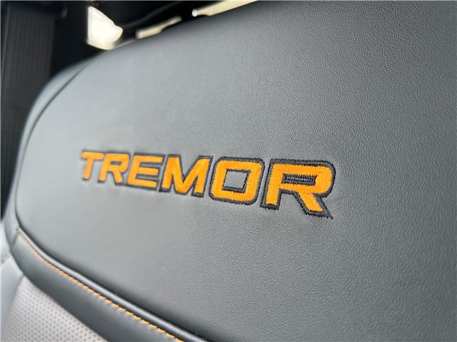 2026 Ford F-150 Tremor (Stk: 26T007) in CRESTON - Image 22 of 25