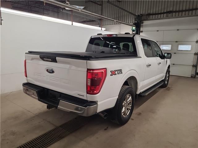 2021 Ford F-150 XLT (Stk: D62948) in Lower Sackville - Image 3 of 7 2021 Ford F-150 XLT (Stk: D62948) in Lower Sackville - Image 3 of 7