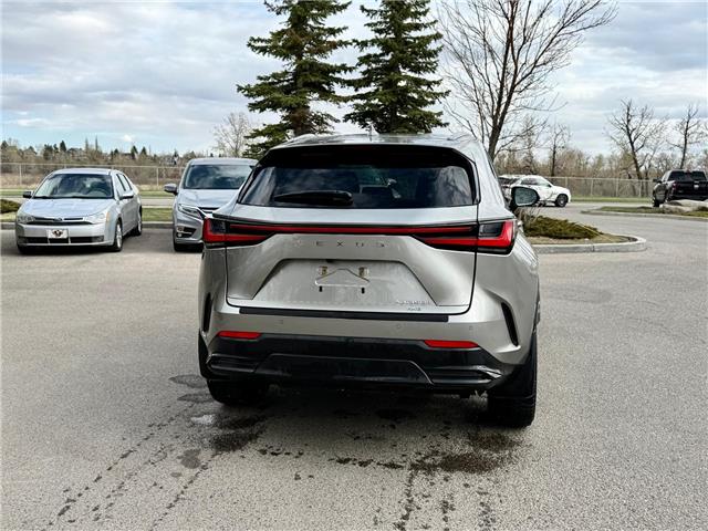 2025 Lexus NX 350h Base (Stk: 260717A) in Calgary - Image 3 of 18