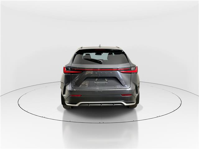 2026 Lexus NX 350h  (Stk: 15105824) in Richmond Hill - Image 6 of 8
