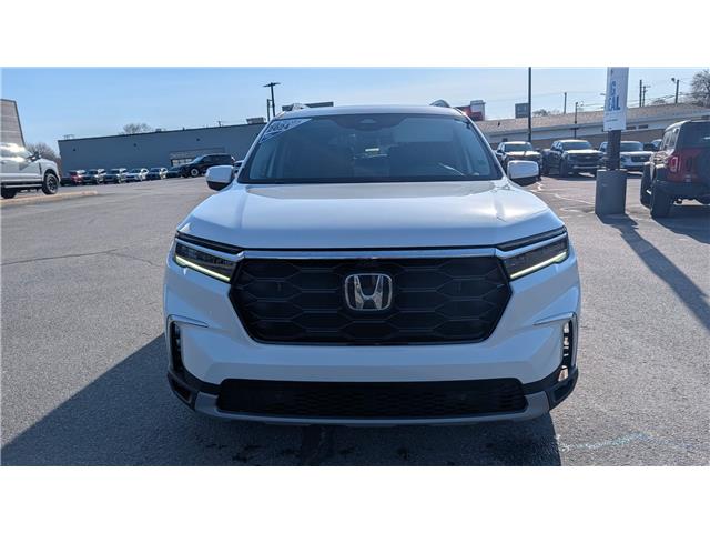 2024 Honda Pilot Touring (Stk: EP605A) in Miramichi - Image 8 of 14