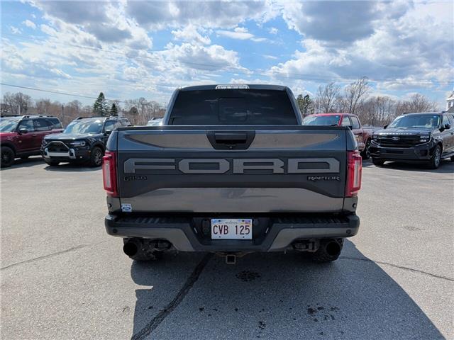 2019 Ford F-150 Raptor (Stk: 24363) in Miramichi - Image 4 of 14