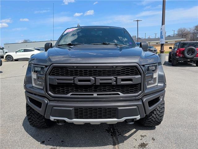 2019 Ford F-150 Raptor (Stk: 24363) in Miramichi - Image 8 of 14