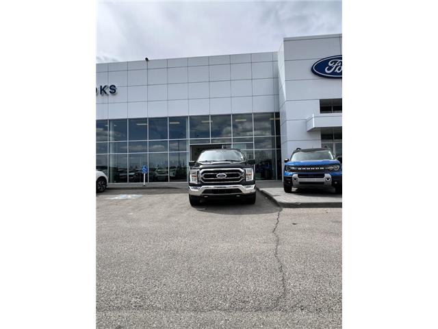 2021 Ford F-150 XLT (Stk: TK-81A) in Okotoks - Image 2 of 4 2021 Ford F-150 XLT (Stk: TK-81A) in Okotoks - Image 2 of 4