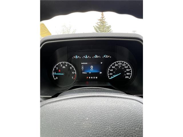 2021 Ford F-150 XLT (Stk: TK-81A) in Okotoks - Image 4 of 4 2021 Ford F-150 XLT (Stk: TK-81A) in Okotoks - Image 4 of 4