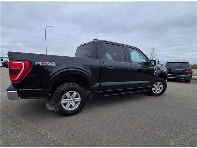 2023 Ford F-150 XLT (Stk: JUD029) in Brandon - Image 6 of 21