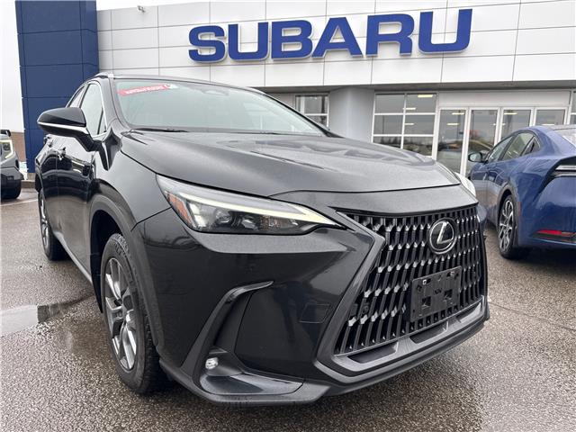2023 Lexus NX 350 Base (Stk: H134) in Newmarket - Image 2 of 30 2023 Lexus NX 350 Base (Stk: H134) in Newmarket - Image 2 of 30