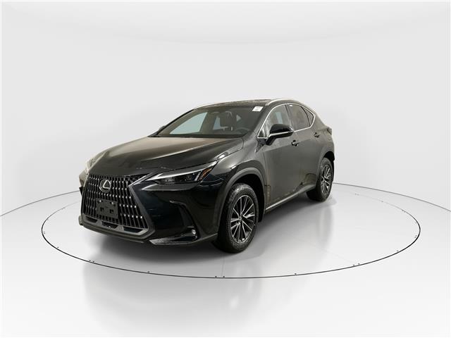 2026 Lexus NX 350h  (Stk: 15105836) in Richmond Hill - Image 3 of 20