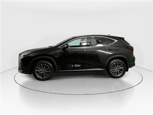 2026 Lexus NX 350h  (Stk: 15105836) in Richmond Hill - Image 4 of 20