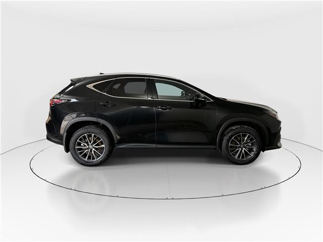 2026 Lexus NX 350h  (Stk: 15105836) in Richmond Hill - Image 8 of 20