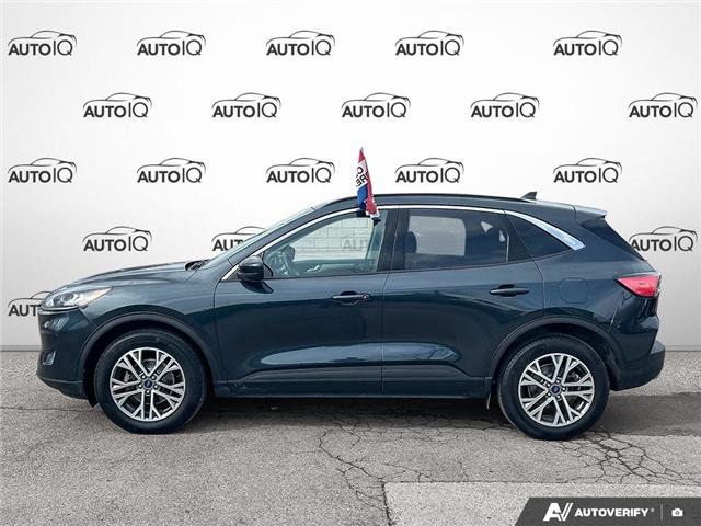 2022 Ford Escape SEL Hybrid (Stk: AFLJ0H2785) in Hamilton - Image 3 of 20