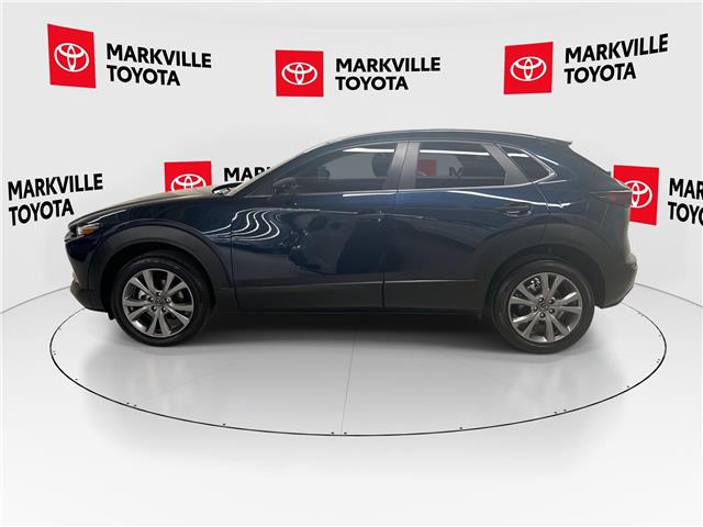 2025 Mazda CX-30 GS (Stk: 11105989A) in Markham - Image 6 of 28 2025 Mazda CX-30 GS (Stk: 11105989A) in Markham - Image 6 of 28