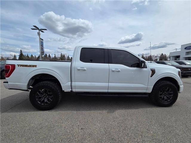2023 Ford F-150 Tremor (Stk: TA-767A) in Calgary - Image 3 of 11