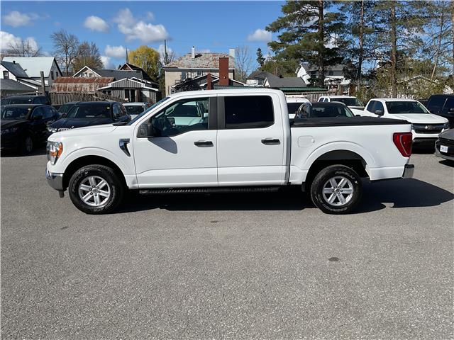 2021 Ford F-150 (Stk: 260380) in Ottawa - Image 3 of 34 2021 Ford F-150 (Stk: 260380) in Ottawa - Image 3 of 34