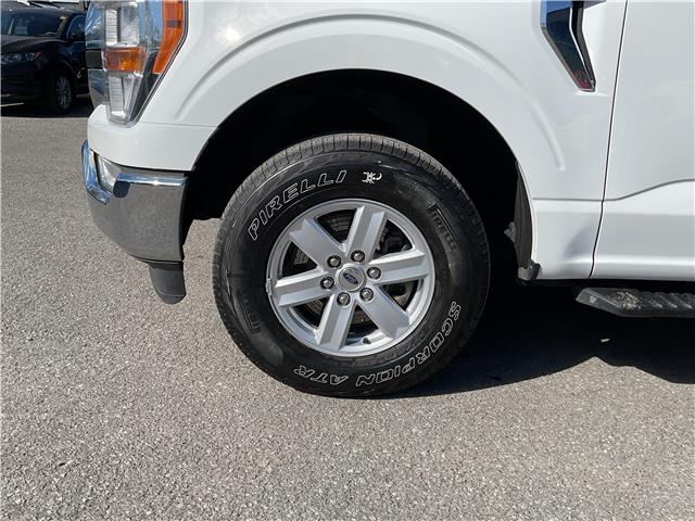 2021 Ford F-150 (Stk: 260380) in Ottawa - Image 9 of 34 2021 Ford F-150 (Stk: 260380) in Ottawa - Image 9 of 34