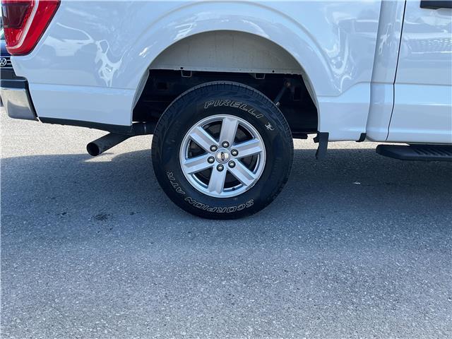 2021 Ford F-150 (Stk: 260380) in Ottawa - Image 12 of 34 2021 Ford F-150 (Stk: 260380) in Ottawa - Image 12 of 34