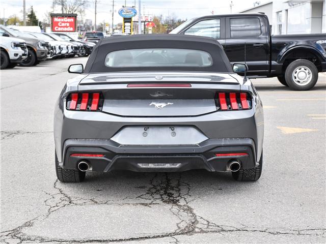 2025 Ford Mustang EcoBoost (Stk: 03340) in GEORGETOWN - Image 8 of 22