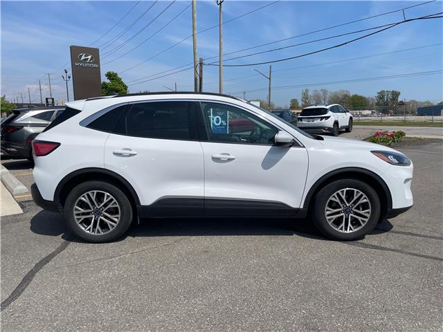 2021 Ford Escape SEL (Stk: T142A) in Chatham - Image 2 of 33 2021 Ford Escape SEL (Stk: T142A) in Chatham - Image 2 of 33