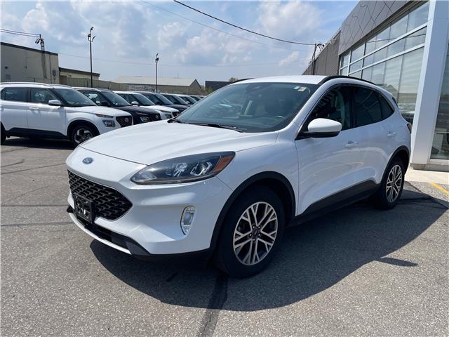 2021 Ford Escape SEL (Stk: T142A) in Chatham - Image 9 of 33 2021 Ford Escape SEL (Stk: T142A) in Chatham - Image 9 of 33
