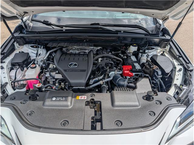 2024 Lexus NX 350 Base (Stk: WN26265A) in Welland - Image 3 of 28 2024 Lexus NX 350 Base (Stk: WN26265A) in Welland - Image 3 of 28