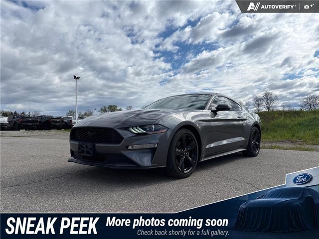 2021 Ford Mustang  (Stk: 6BR7645A) in Brantford - Image 1 of 1