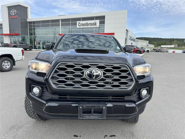 2022 Toyota Tacoma  (Stk: T066777M) in Cranbrook - Image 8 of 21