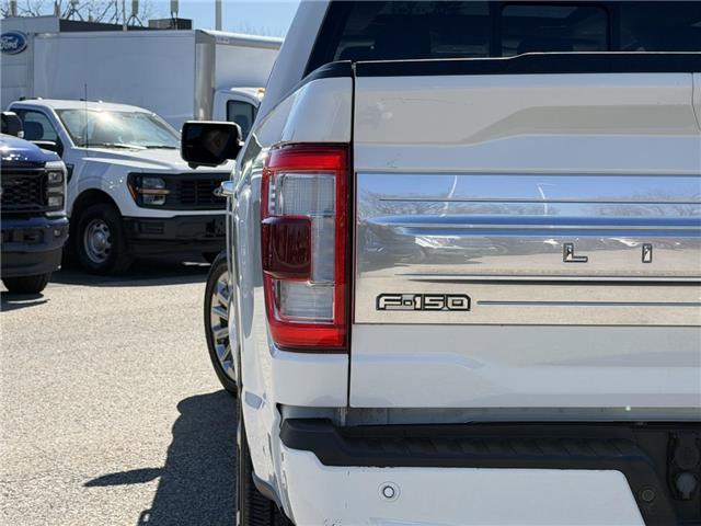 2021 Ford F-150 (Stk: DA424A) in Ottawa - Image 6 of 16 2021 Ford F-150 (Stk: DA424A) in Ottawa - Image 6 of 16